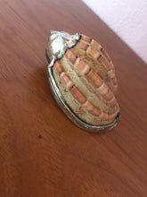 Load image into Gallery viewer, Beautiful Beach House Style Sea Shell Dipped In Metal