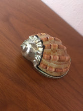 Load image into Gallery viewer, Beautiful Beach House Style Sea Shell Dipped In Metal