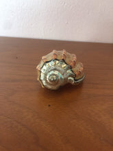 Load image into Gallery viewer, Beautiful Beach House Style Sea Shell Dipped In Metal
